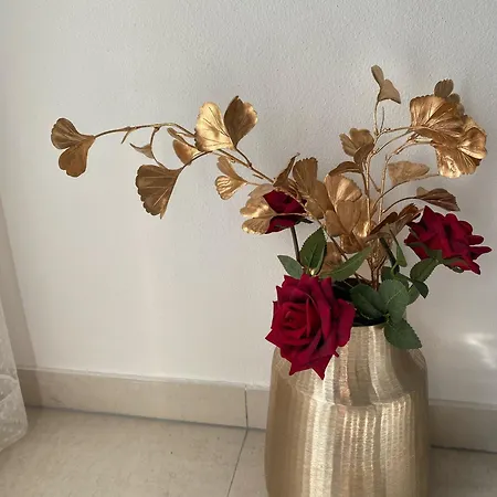 Boutique Kaya Apartamento *
